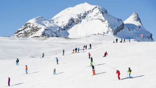 Ina pista sur Grindelwald en la Part Sura Bernaisa.