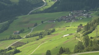 ina cuntrada ina cuntrada