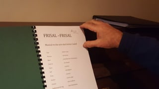 Las producziuns dal musical Frisal-Frisal a Danis-Tavanasa: 