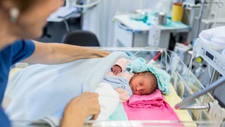 Ina spendrera metta in cuverta sur il novnaschi. Ina spendrera metta in cuverta sur il novnaschi.