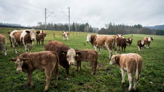 Era l'agricultura duai purtar ina cumpart da las mesiras da spargn planisadas. 