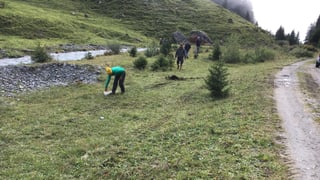 La inschignera da construcziun noda nua ch'il vau va atras 