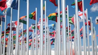 Las bandieras da las naziuns commembras da l'ONU, qua a Marrakesch nua che la conferenza dal clima ha gì lieu.