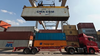 Rauba da martganzia che vegn chargiada sin in camiun al port da Basilea. 