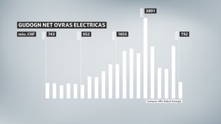 Purtret d'ina grafica. 