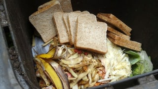 Mangiativas en il chanaster