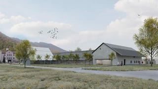 Visualisaziun dal project