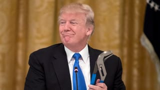 Donald Trump cun ina zanga gronda enta maun.