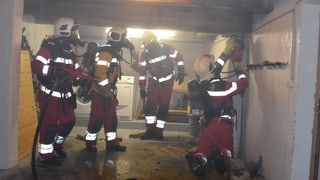 Pumpiers cun mascas en in bajetg
