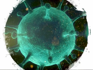 Virus da grippa