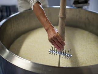 Ina signuna vid la lavur sin l'alp da chauras «Malschuel» a Sevelen (SG). Ina signuna vid la lavur sin l'alp da chauras «Malschuel» a Sevelen (SG).