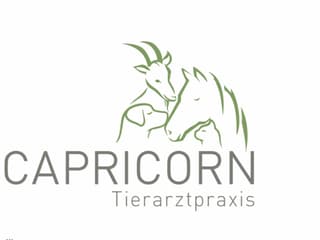 Chaval, chaun, chaura e giat en il logo da la pratica Capricorn.