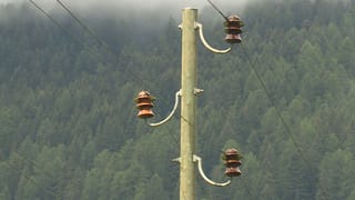 pitga da lain da la lingia d'electricitad pitga da lain da la lingia d'electricitad