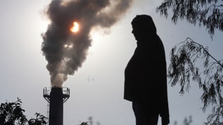 Il fim che vegn or d'ina fabrica en l'India. 