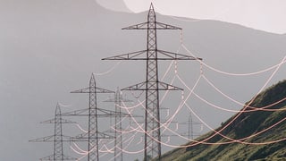 Ins vesa diversas pitgas electricas. 