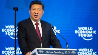 Xi Jinping drizza ses pleds a l'elita da l'economia.