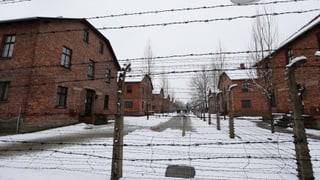 Il champ da destrucziun Auschwitz Birkenau cun in zic naiv per terra ed ina saiv da fildarom cun spinas. 