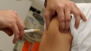 vaccinar