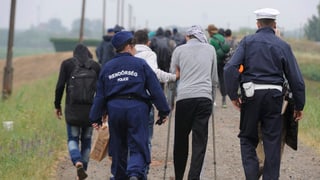 La polizia ungaraisa escortescha enavos fugitivs dal cunfin.