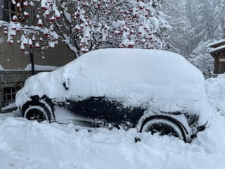 Er a Guarda hai passa 30cm naiv be sin quest auto.