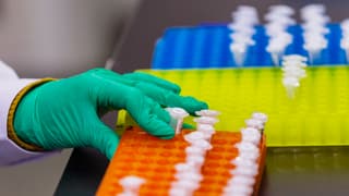 Labor che sequenzescha geneticamain.