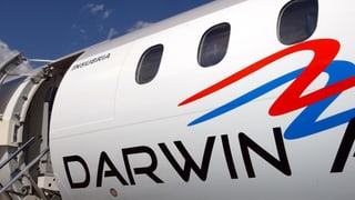 Il logo da Darwin sin in aviun.