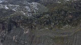Paraid crap en la Val Morteratsch