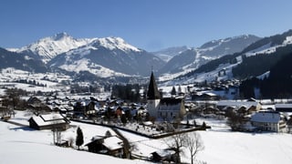 Purtret da Saanen en il chantun Berna. 