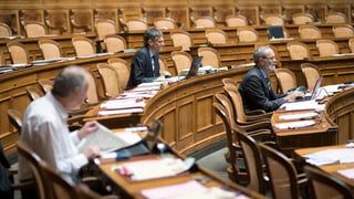 Ils parlamentaris a Berna.