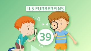 Ils Furberfins