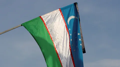 Flagge mit grünen, weissen und blauen Streifen und Symbolen im Wind.