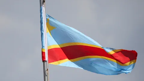 Eine wehende blau-rote Flagge an einem Fahnenmast.