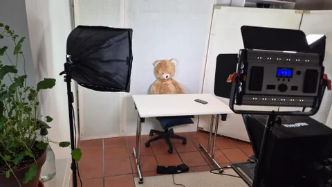 ina maisa cun in urset Teddy che sesa vidlonder. Duas chazzolas per video davontiers. Da la vart ina plantina.