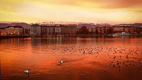 Stadtansicht bei Sonnenuntergang mit Vögeln auf einem See.