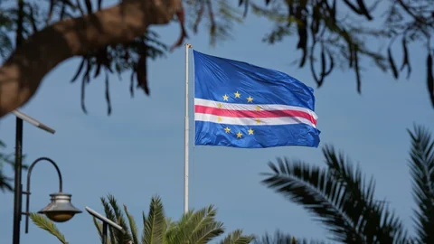 Blau-rote Flagge im Wind, umgeben von Palmen und Bäumen.