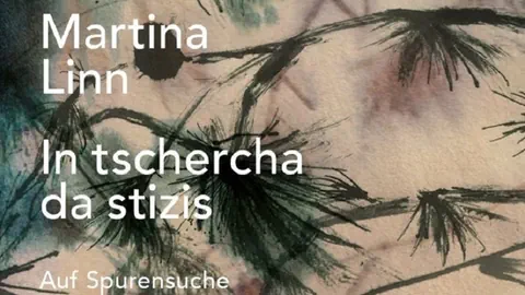 Das Albumcover der neuen Platte von Martina Linn.