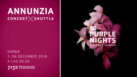 Grafica per l'annunzia da Purple Nights.