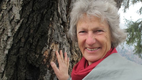 Prender cumià: Tge munta il prender cumià – Gisula Tscharner Prender cumià: Tge munta il prender cumià – Gisula Tscharner