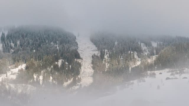 La lavina da l'Alp da Schlans è vegnida fin 200 meters sur la via chantunala.