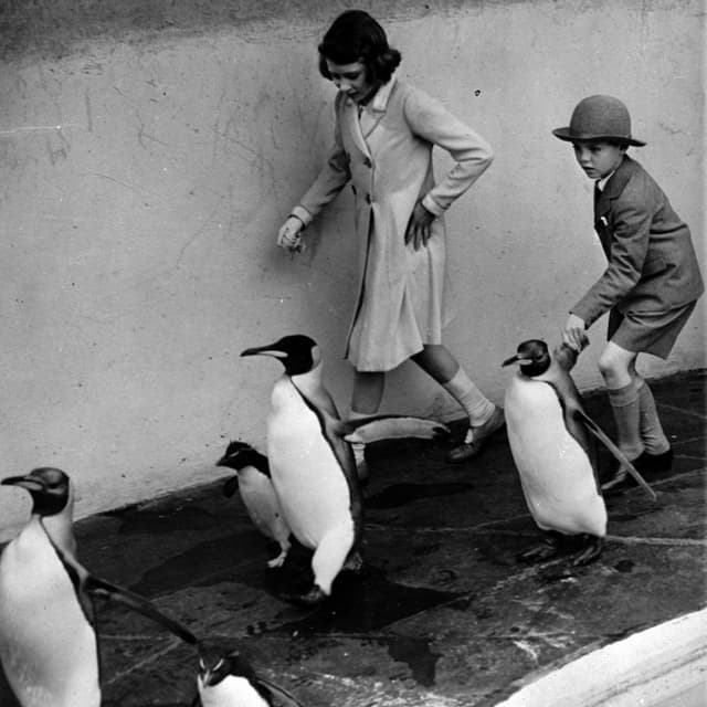 La pitschna Elizabeth cun in cumpogn e pinguins en il zoo da Londra. 