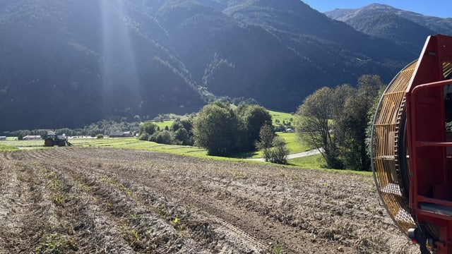 La racolta da differents tartuffels a Müstair