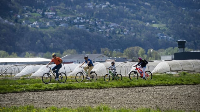 L'influenza dal traffic plaun sin la sanadad