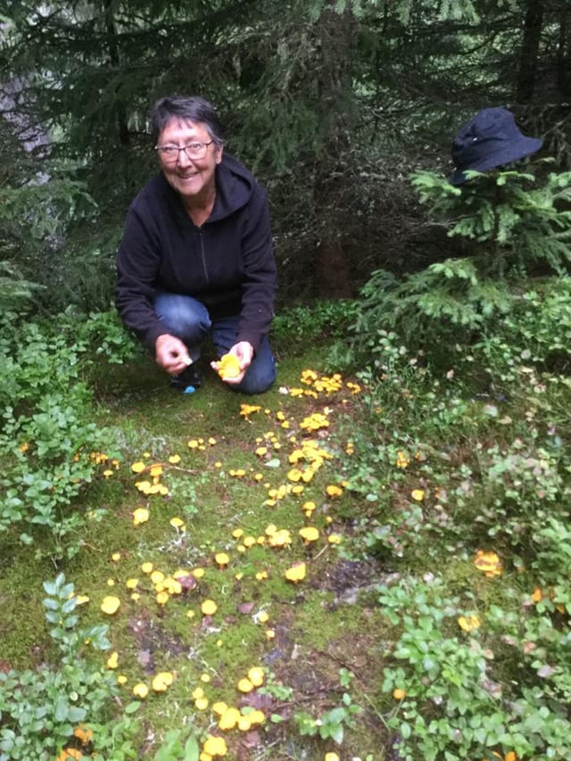 Dunna vid pigliar bulieus mellens