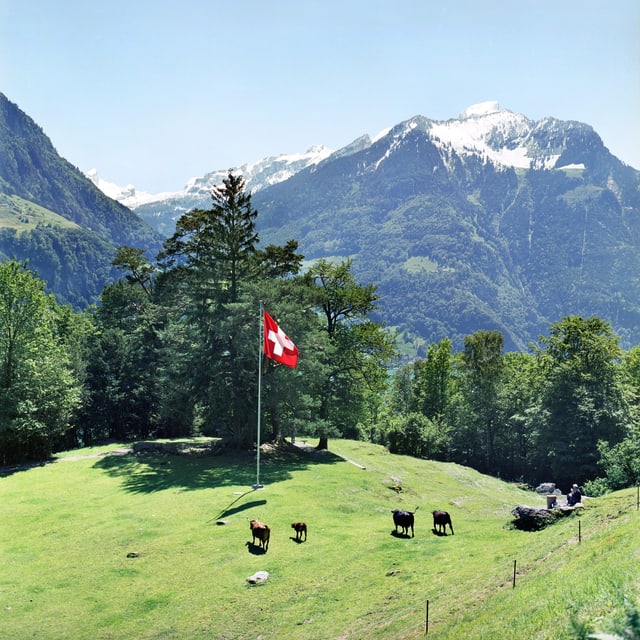 Prà dal Rütli Prà dal Rütli