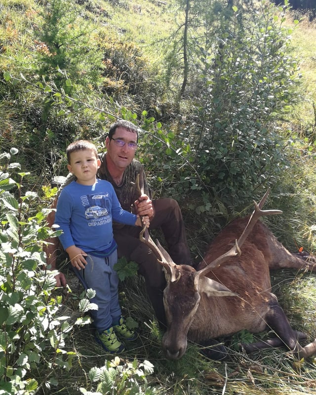 Tschierv sajettà ils 12 da settember da Daniel Franziscus en il territori da Guarda.
