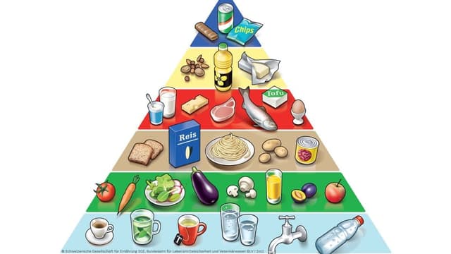 La piramida da nutriment.