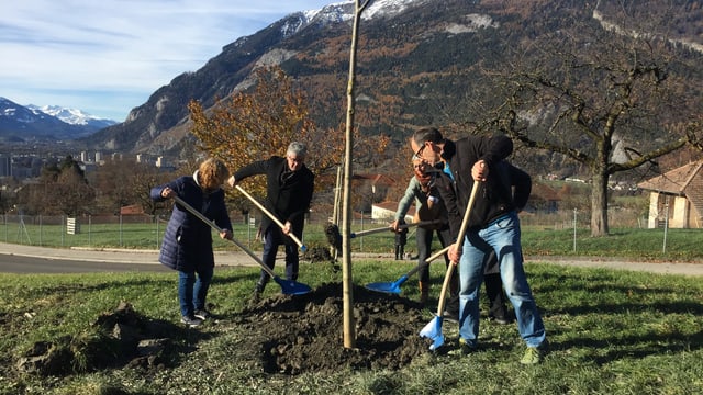 Parolini ed autras persunas che plantan in bostg. Parolini ed autras persunas che plantan in bostg.