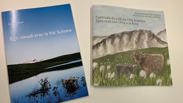Litteratura: Duas novas publicaziuns or da la Val Schons