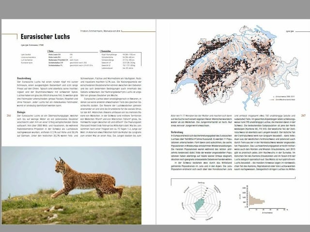 Paginas dal chapitel luf-tscherver en il cudesch "Atlas der Säugetiere der Schweiz und Liechtenstein".