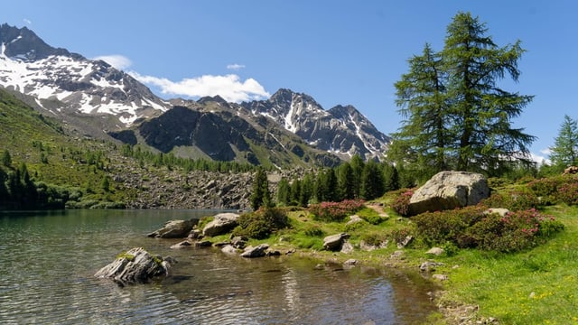 La Val di Campo: Lago di Val Viola – far bogn sin 2'200 meters sur mar